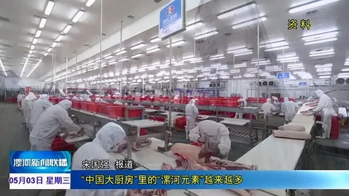 從快餐到奢侈 國際貨物運(yùn)輸如何讓垃圾食品變身高檔奢侈品